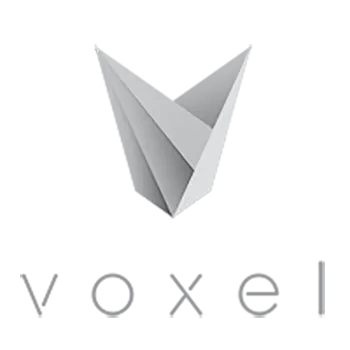 voxel-logo